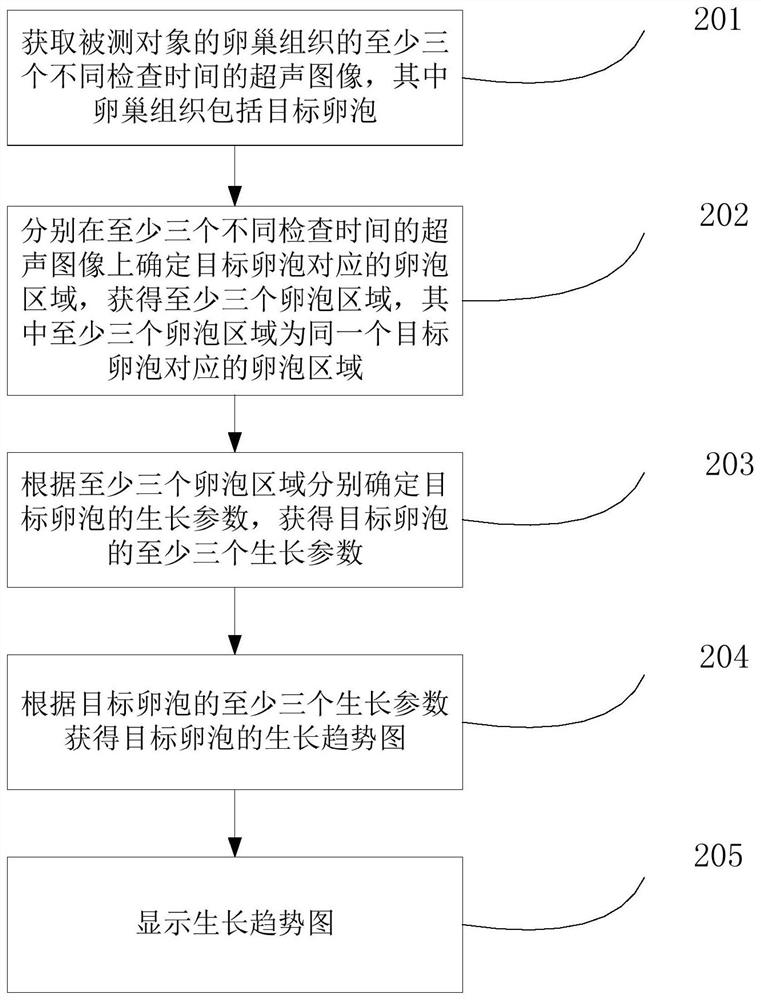 Follicle tracking method and system