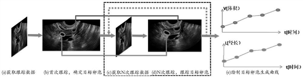 Follicle tracking method and system