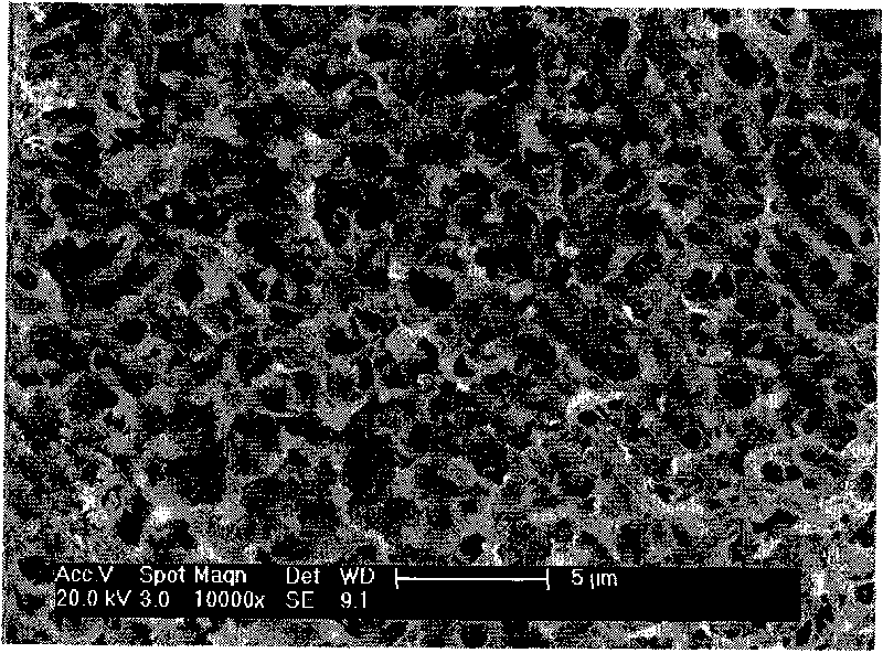 Bioactive artificial joint capable of slowly releasing trace element selenium