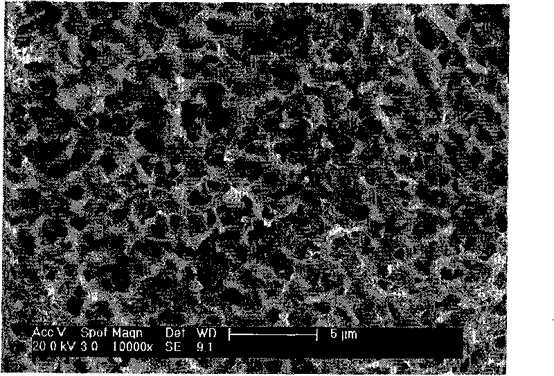 Bioactive artificial joint capable of slowly releasing trace element selenium