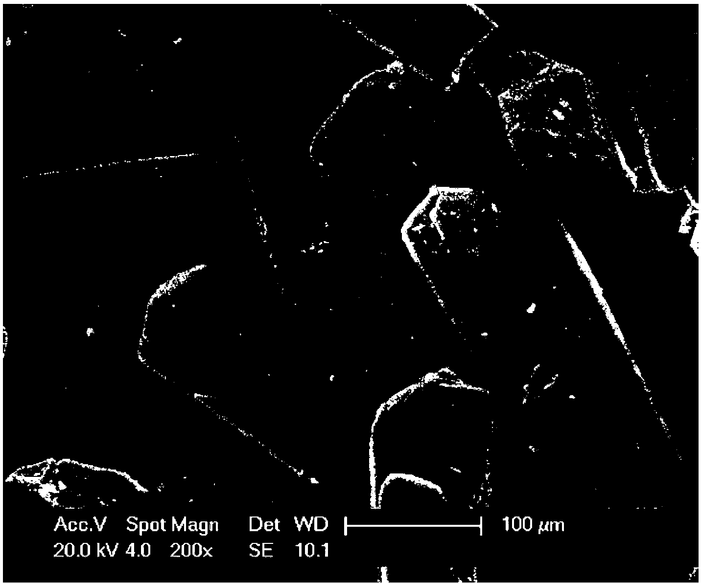 Ginsenoside C-K semihydrate crystal and preparation method thereof