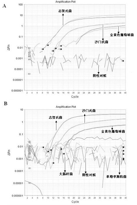 Multiple fluorescence quantitative PCR method for simultaneous and fast detecting three types of pathogenic bacteria in food