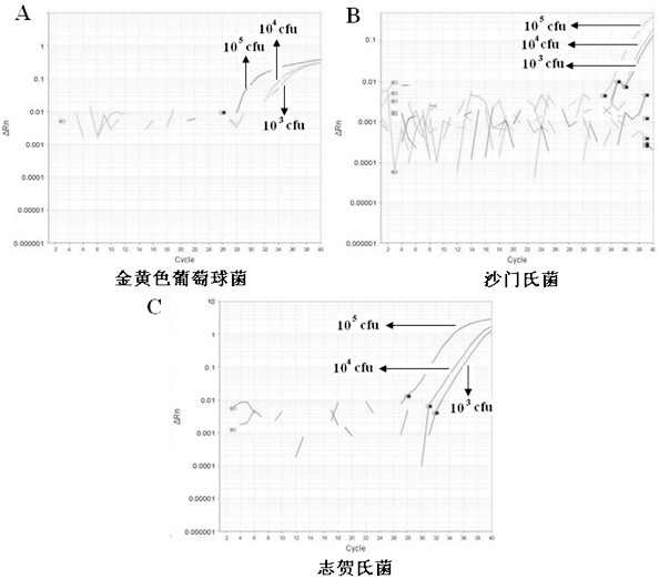 Multiple fluorescence quantitative PCR method for simultaneous and fast detecting three types of pathogenic bacteria in food