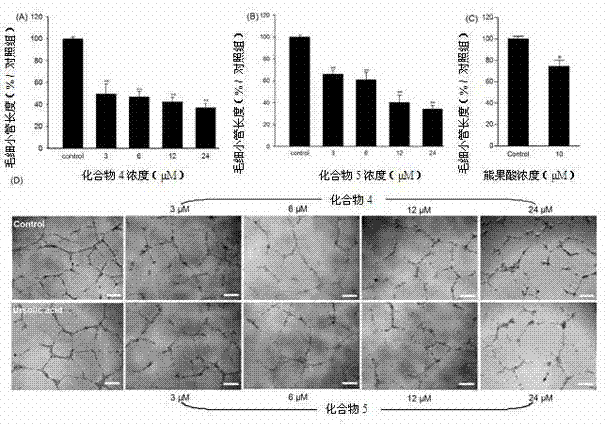 Application of polyketide in preparation of angiogenesis inhibiting medicine