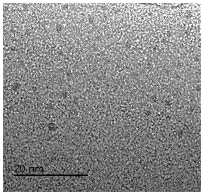 Red light carbonized polymer dot based on citric acid and benzoylurea and preparation method and application thereof