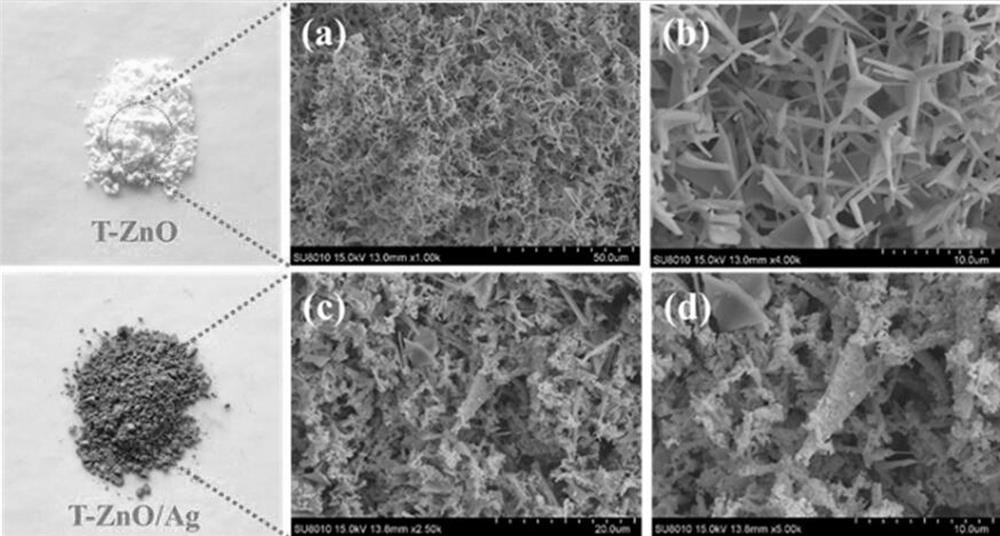 Low reflection and high shielding electromagnetic shielding composite material with gradient structure and its preparation