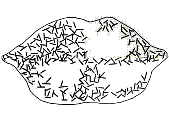 Light-free T-shaped stitch for embroidery and embroidering method