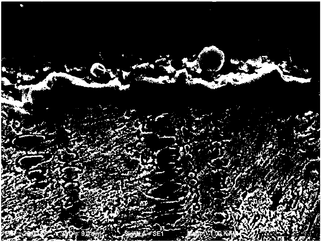 Preparation method of composite coating capable of improving high-temperature anti-oxidization performance of titanium alloy