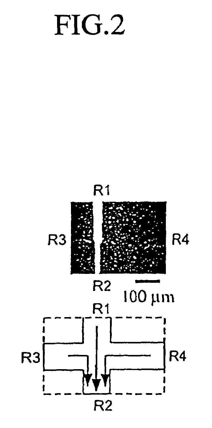 Nucleic acid analyzing method