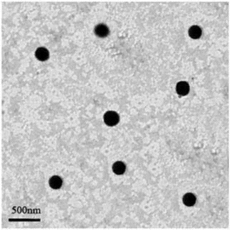 Preparation method and application of pH-sensitive hyaluronic acid-doxorubicin nanometer prodrug