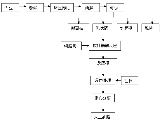 Biological enzyme demulsification method for extracting soybean oil and fat by aqueous enzymatic method