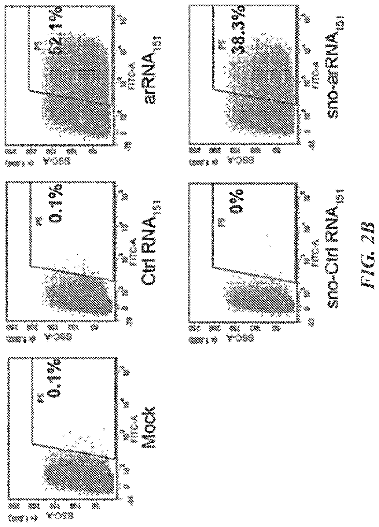 Targeted RNA editing by leveraging endogenous adar using engineered rnas