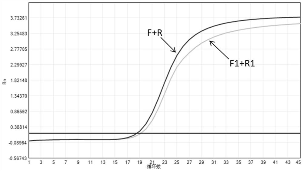 Nucleic acid composition for detecting canine coronavirus and canine parvovirus, kit and application