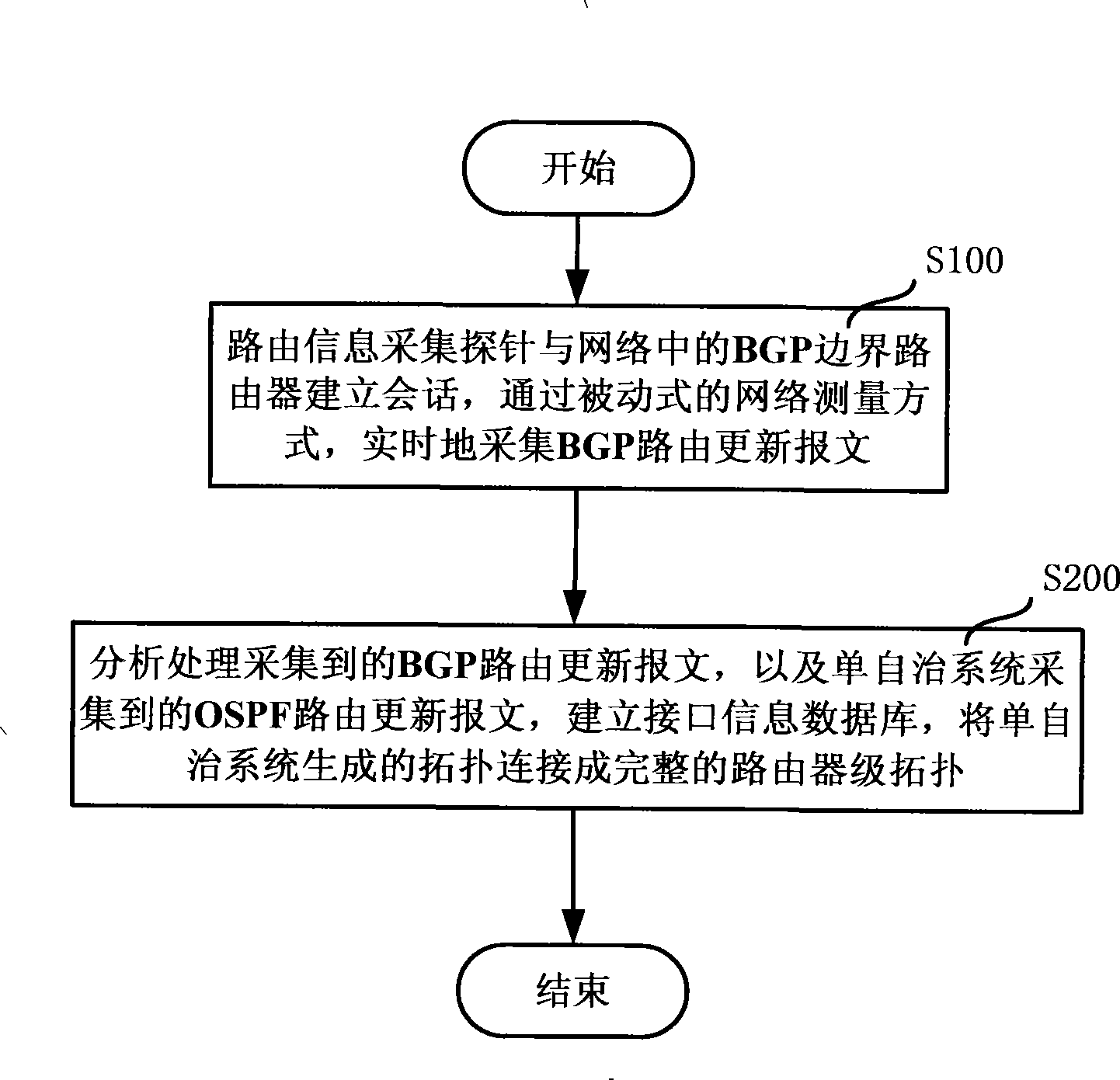 Multi self-governing system router level topology processing system and method