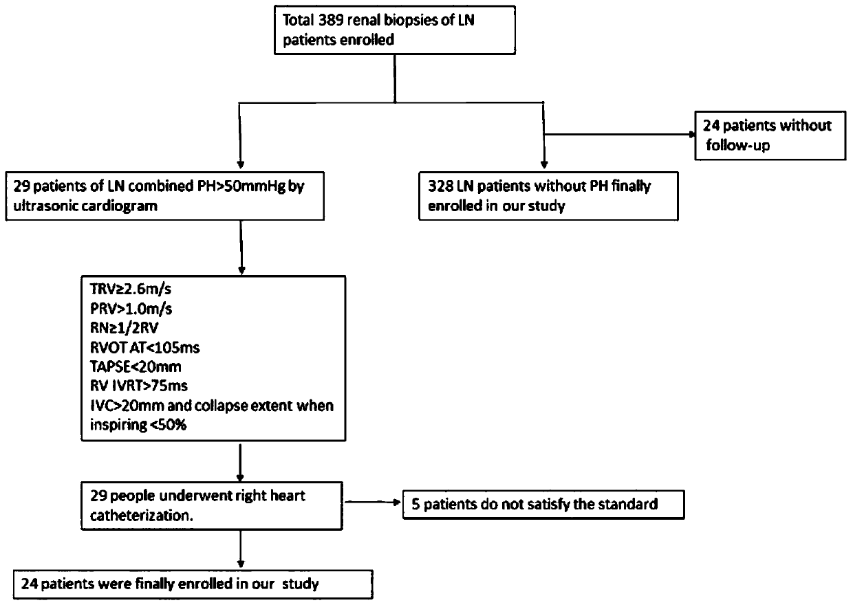 Molecular marker for diagnosing lupus nephritis concurrent pulmonary arterial hypertension disease and application thereof