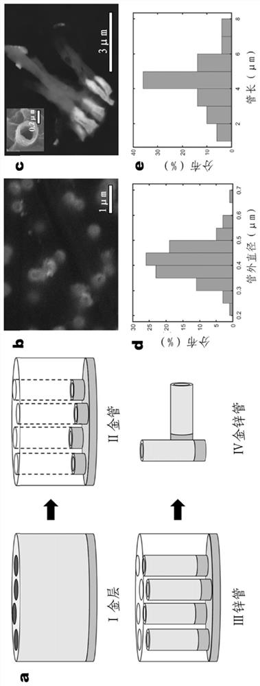 Self-driven Au-Zn nano motor and preparation method and application thereof