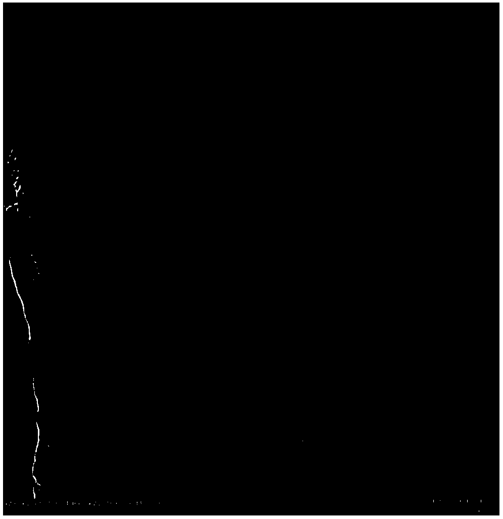 Atom dispersion water oxidation catalyst and preparation and application thereof