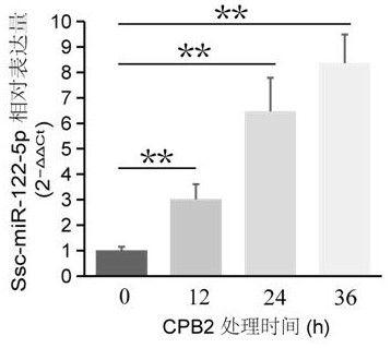 A kind of ssc-mir-122-5p associated with c-type Clostridium perfringens infectious diarrhea in piglets and its application