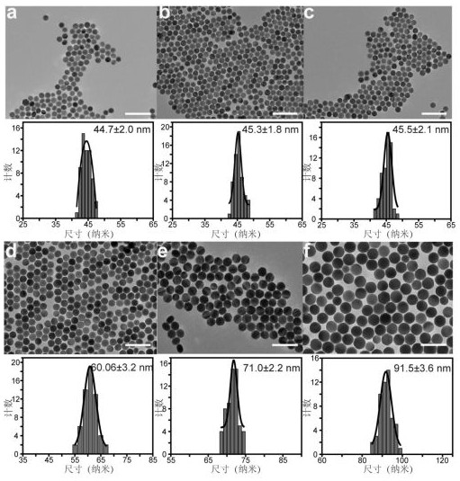 Near-infrared two-zone light-emitting long afterglow nanoprobe based on X-ray excitation, preparation method and application of nanoprobe in living body imaging analysis