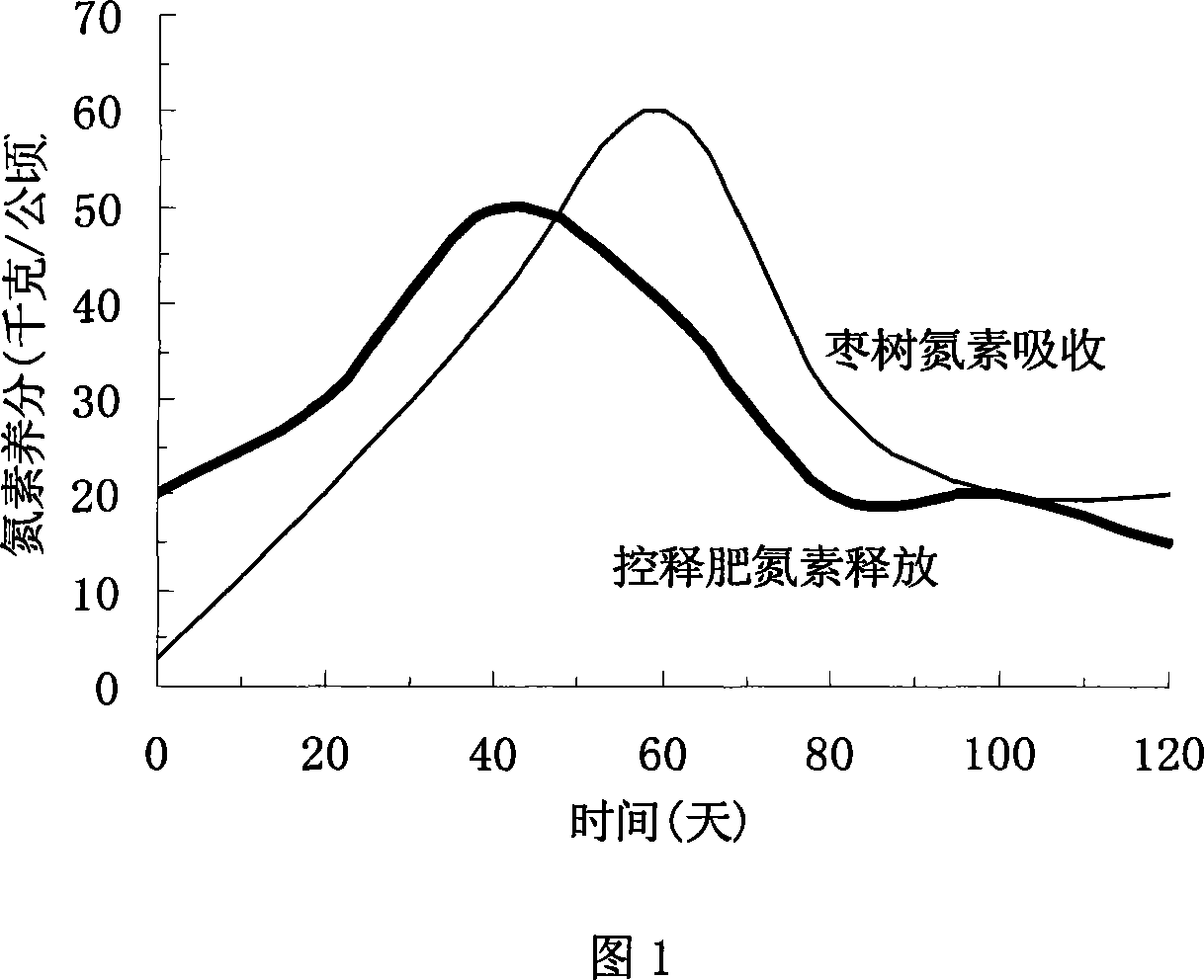 Special control-release fertilizer for resin coated jujube and preparation thereof