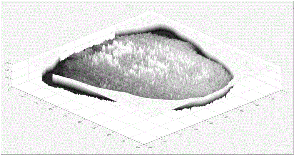 Image feature automatic identifying and extracting method