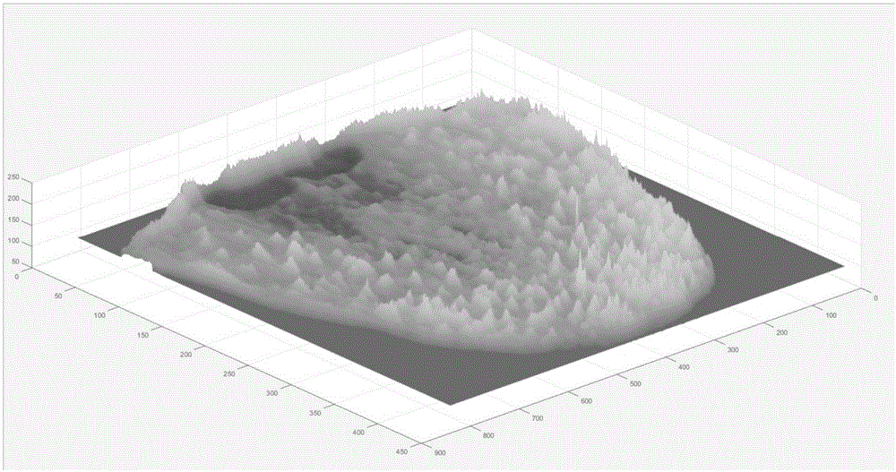 Image feature automatic identifying and extracting method