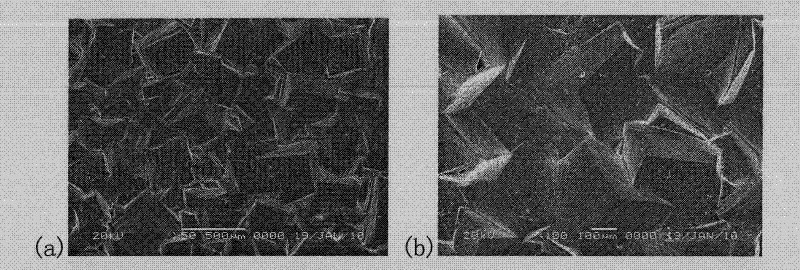 Method for preparing potassium-sodium niobate textured ceramic and potassium-sodium niobate single crystal