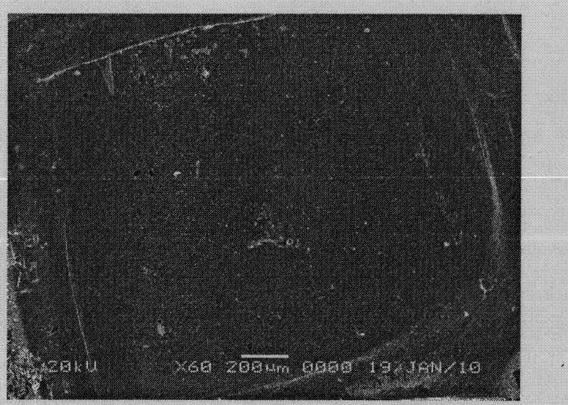 Method for preparing potassium-sodium niobate textured ceramic and potassium-sodium niobate single crystal