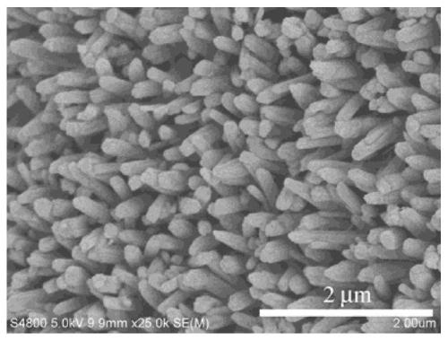 Fe-doped Ni3Se4 nanorod/nanosheet grading array structure material, preparation method and application of material