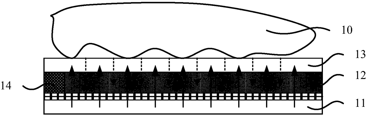 Fingerprint imaging module and electronic equipment