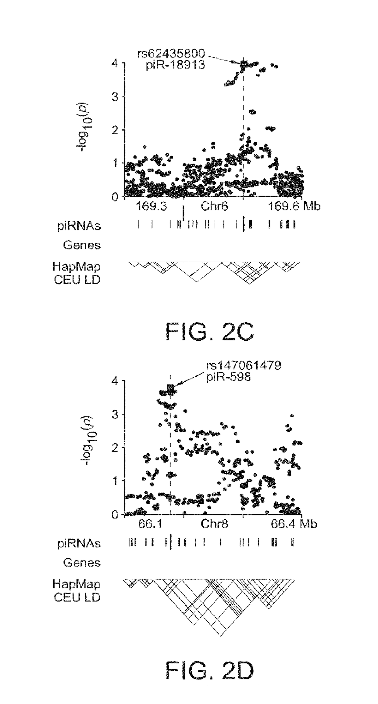 COMPOSITIONS AND METHODS OF USING piRNAS IN CANCER DIAGNOSTICS AND THERAPEUTICS