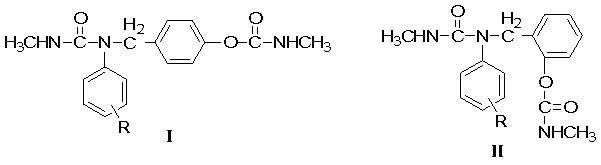 Urea carbamate methyl substituted arly ester with bactericidal activity