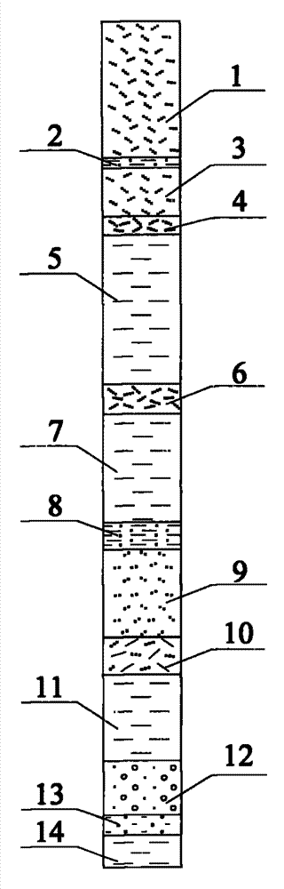 A division method based on the structure model of sub-layered sedimentary assemblages of Quaternary loose strata