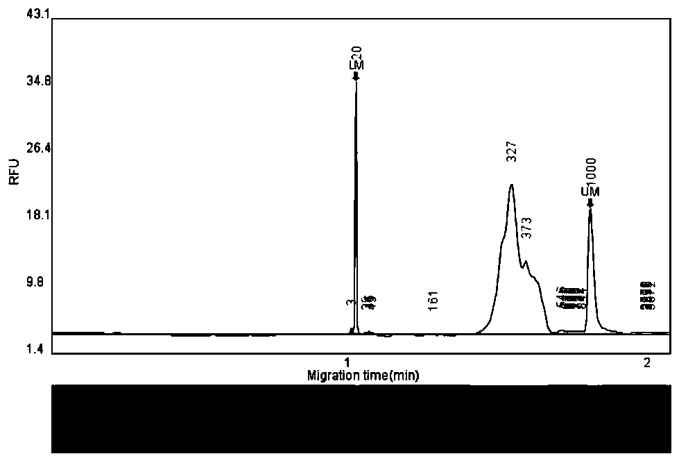 Linkage autosomal str typing system and kit based on high-throughput sequencing technology