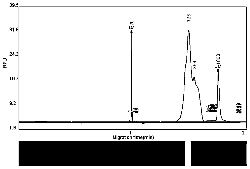 Linkage autosomal str typing system and kit based on high-throughput sequencing technology