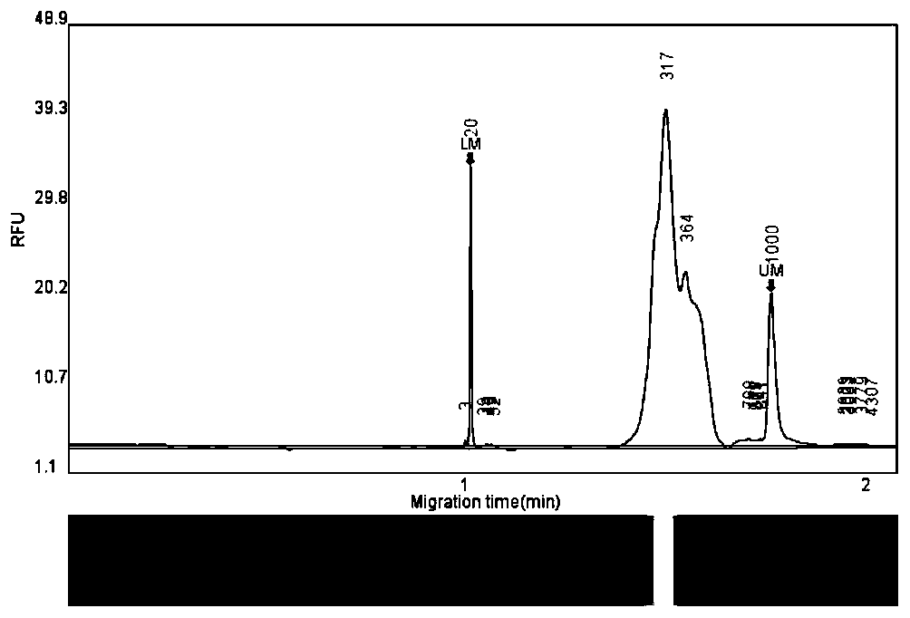 Linkage autosomal str typing system and kit based on high-throughput sequencing technology