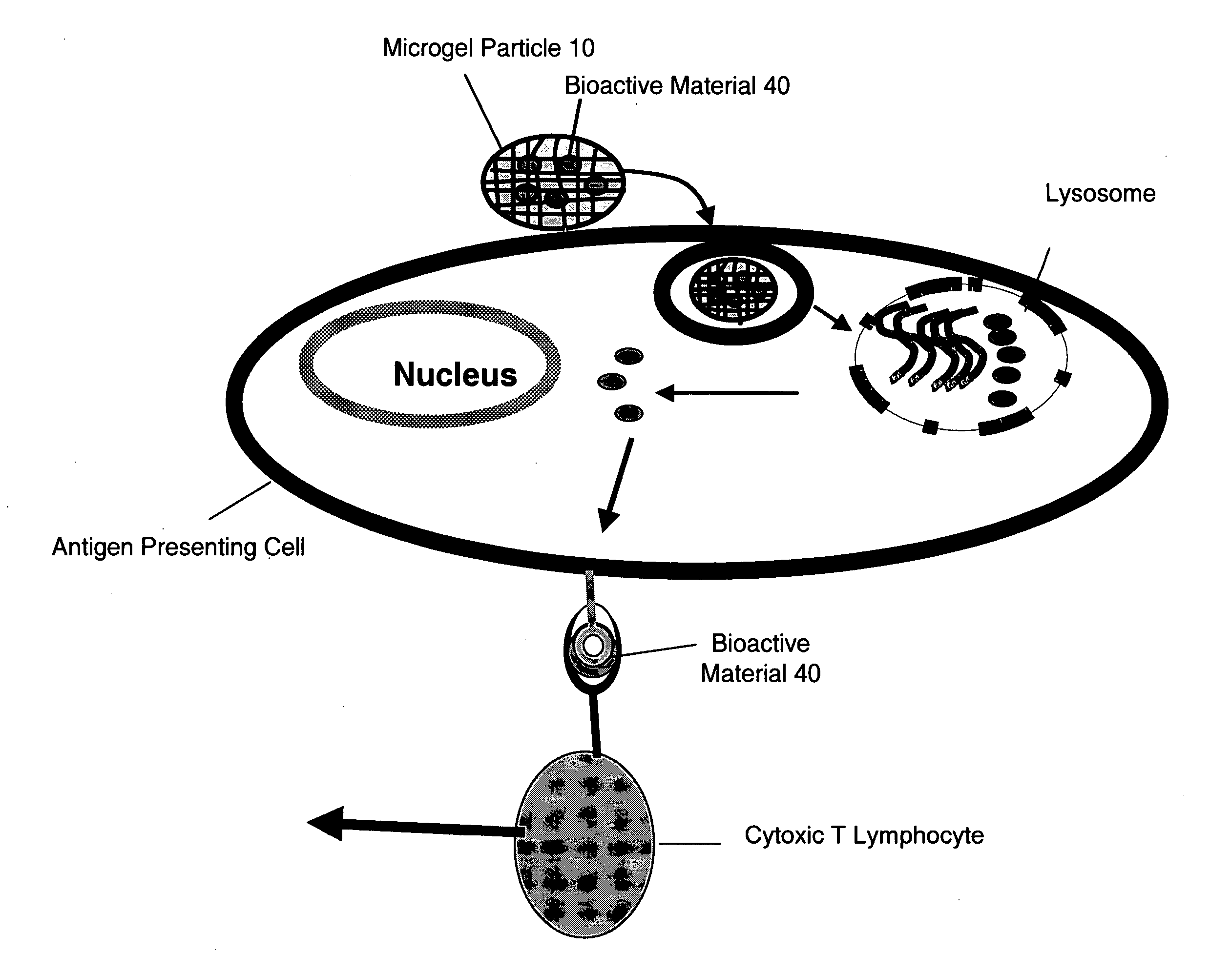 Microgel particles for the delivery of bioactive materials