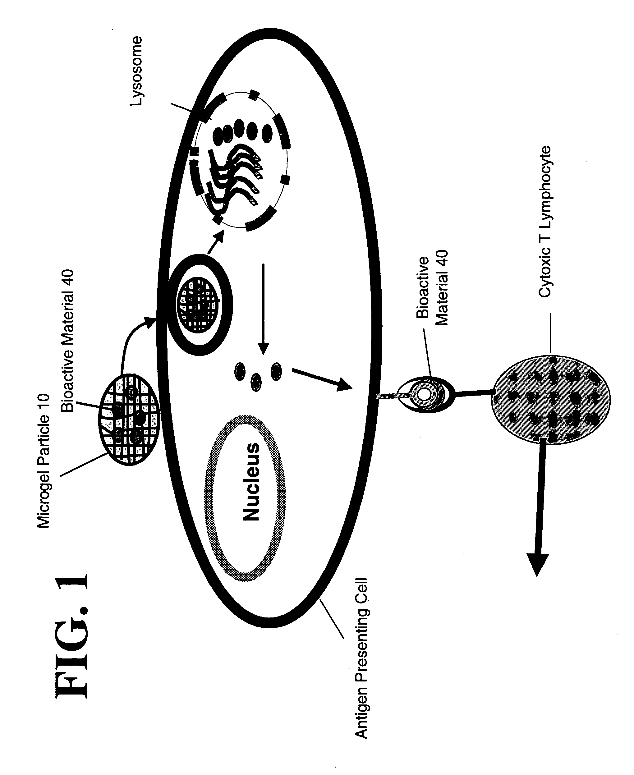 Microgel particles for the delivery of bioactive materials