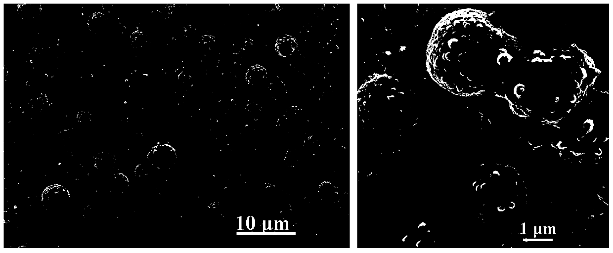 Preparation method of bionic no-modification super-hydrophobic Cu-Zn-CeO2 layer and application thereof