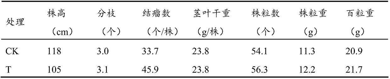 Bacillus mucilaginosus and microbial fertilizer and preparation method and application thereof