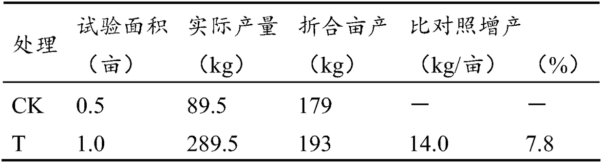 Bacillus mucilaginosus and microbial fertilizer and preparation method and application thereof