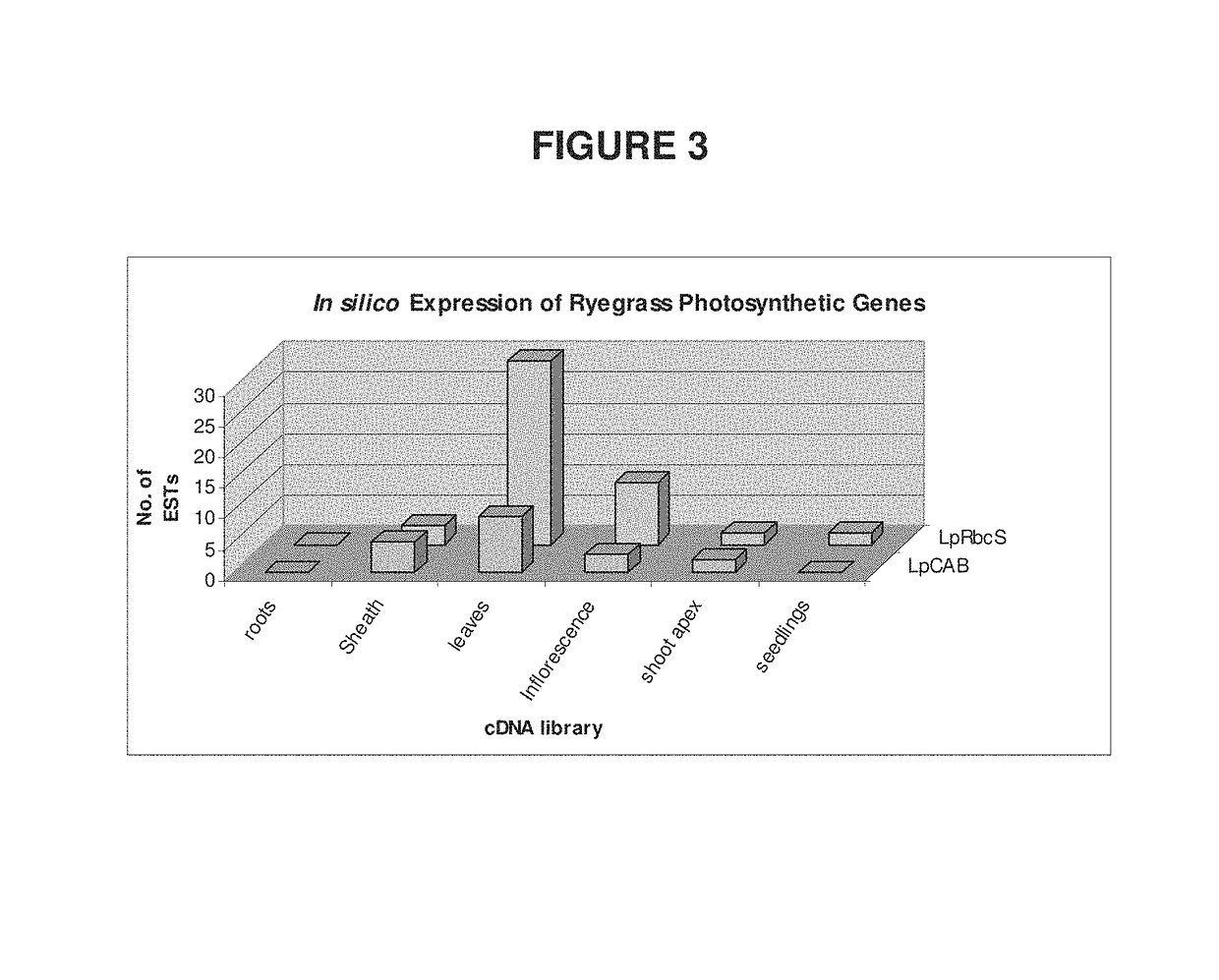 Modification of fructan biosynthesis, increasing plant biomass, and enhancing productivity of biochemical pathways in a plant