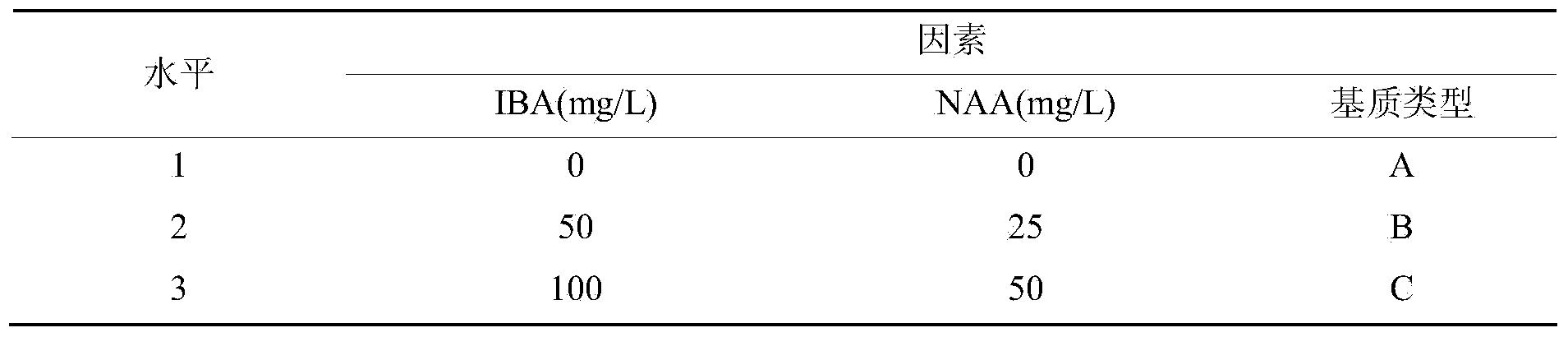 Method for quickly producing Chinese fir seedlings through micro-cutting