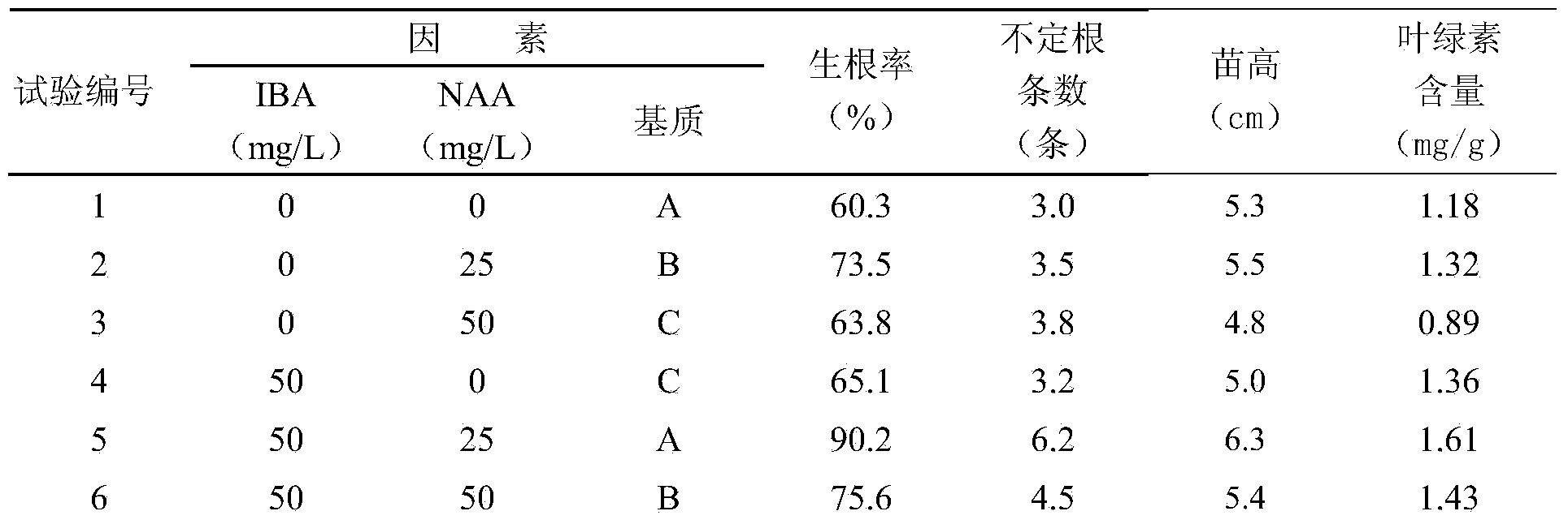 Method for quickly producing Chinese fir seedlings through micro-cutting