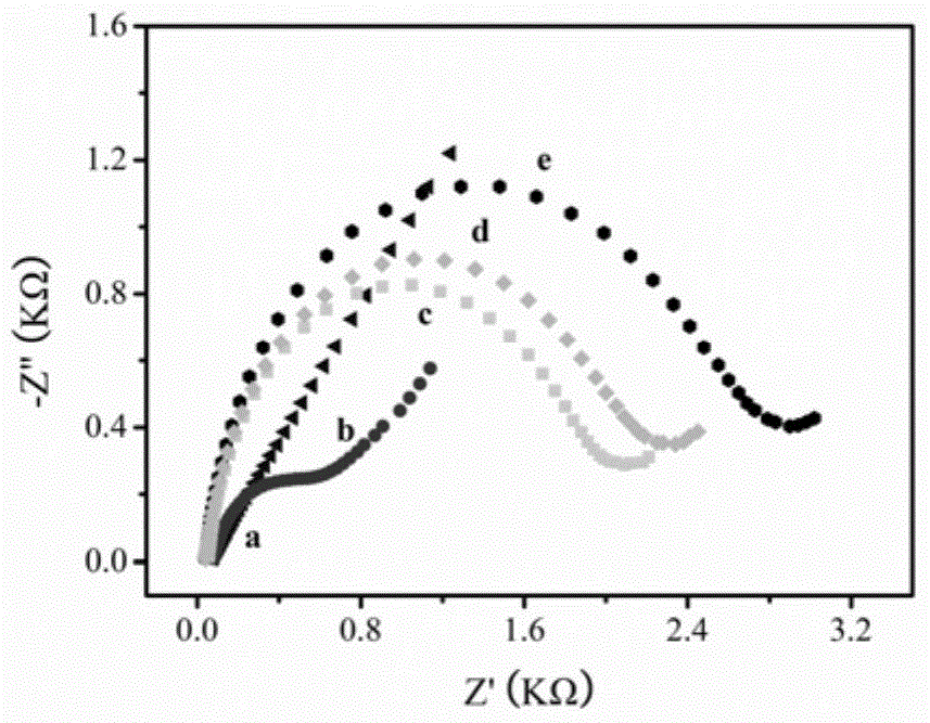 Electrochemical sensor and preparation and application thereof