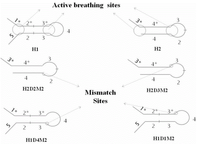 Electrochemical sensor and preparation and application thereof