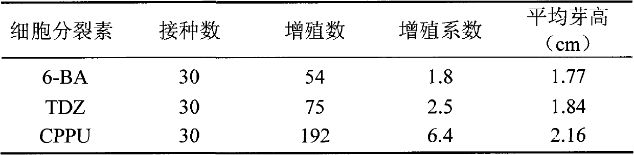 Medium for rapid breeding and propagation of fraxinus americana tissue culture and application thereof