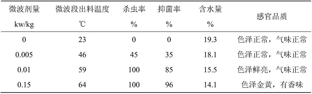 Grain microwave and fluidization combined drying equipment, drying method and application