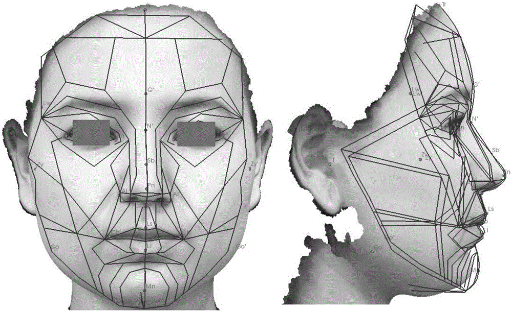 Three-dimensional human face model reconstruction method guided by golden proportion