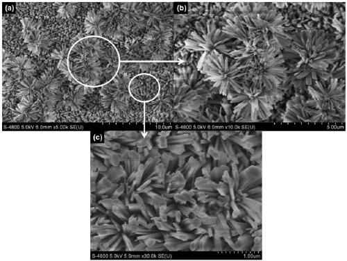 Method for preparing magnesium alloy surface micro-nano structure hydroxyapatite coating through hydrothermal manner